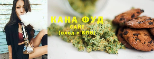 индика Снежногорск