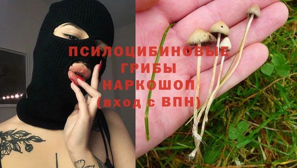 мяу мяу мука Белоозёрский