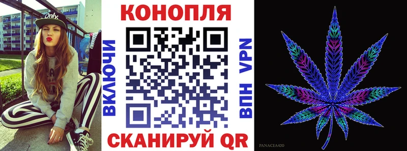 купить наркоту  Шахунья  Бошки Шишки план 